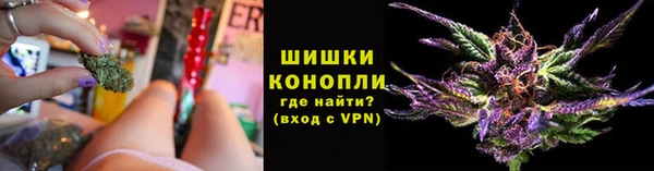 ГАЛЛЮЦИНОГЕННЫЕ ГРИБЫ Карпинск