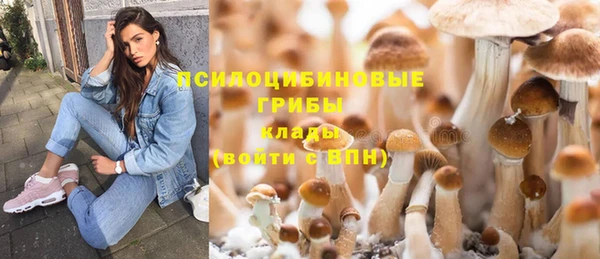 ГАЛЛЮЦИНОГЕННЫЕ ГРИБЫ Карпинск
